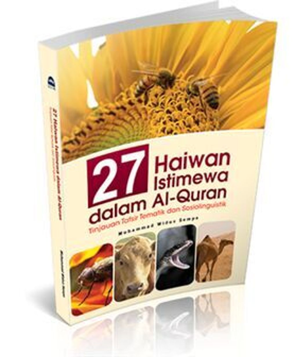 27_haiwan__small_-500x600.png