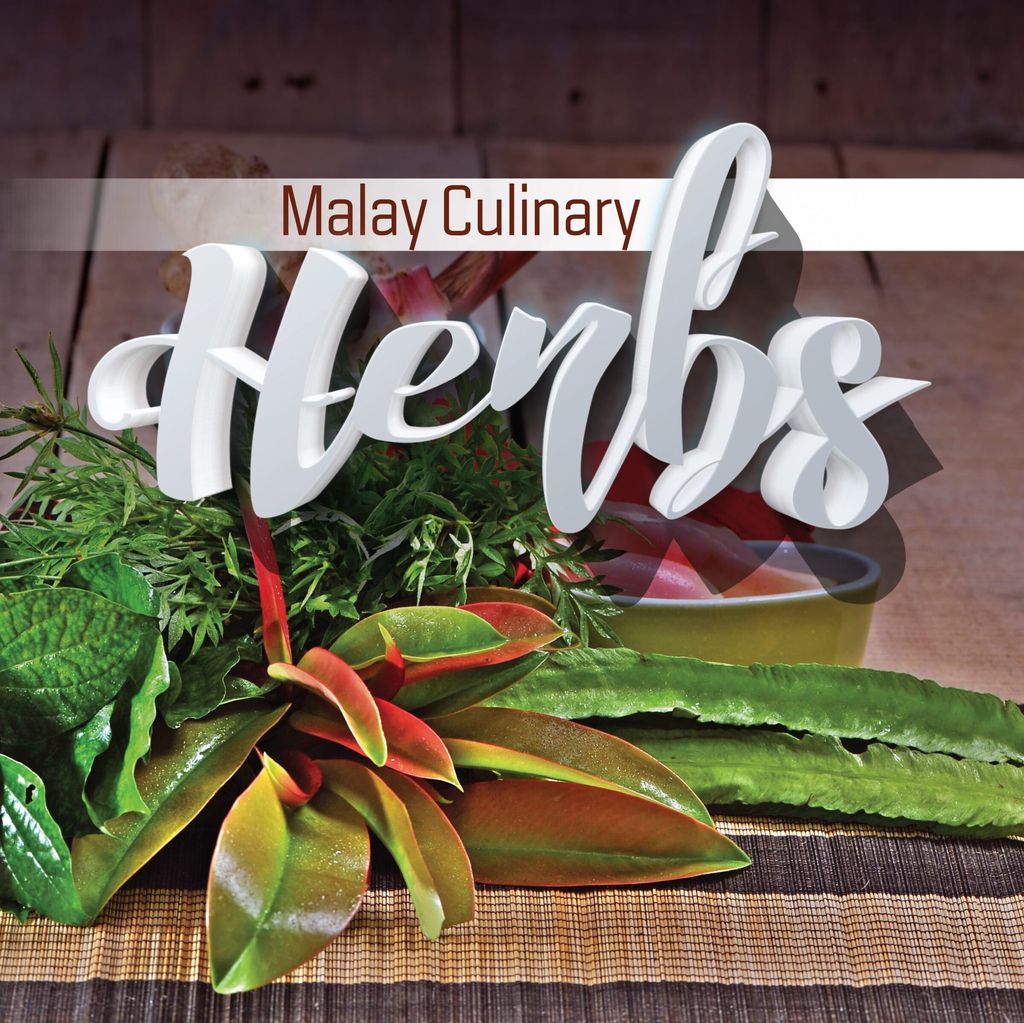 MALAY-CULINARY-HERBS-scaled