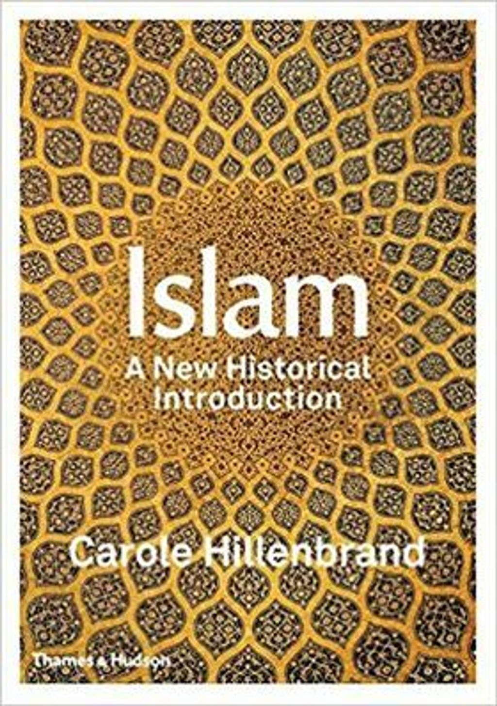 61guuEGt-XL._SX349_BO1%2C204%2C203%2C200_