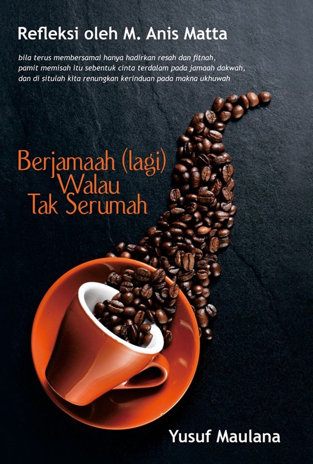 50502916_10213310797544131_4353657113566773248_n