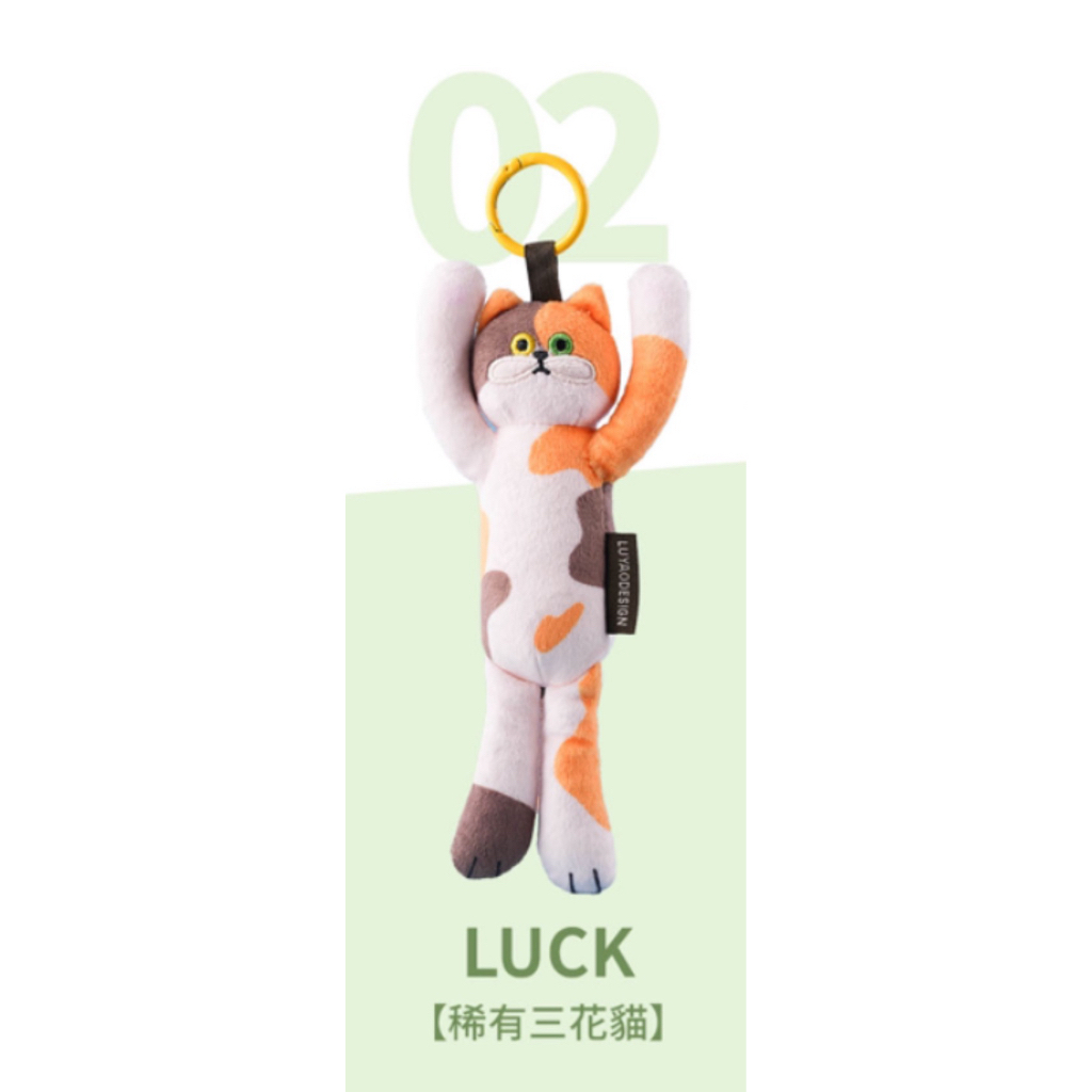 02.LUCK－稀有三花貓