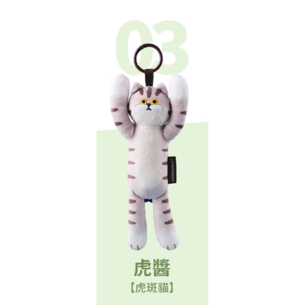 03.虎醬－虎斑貓