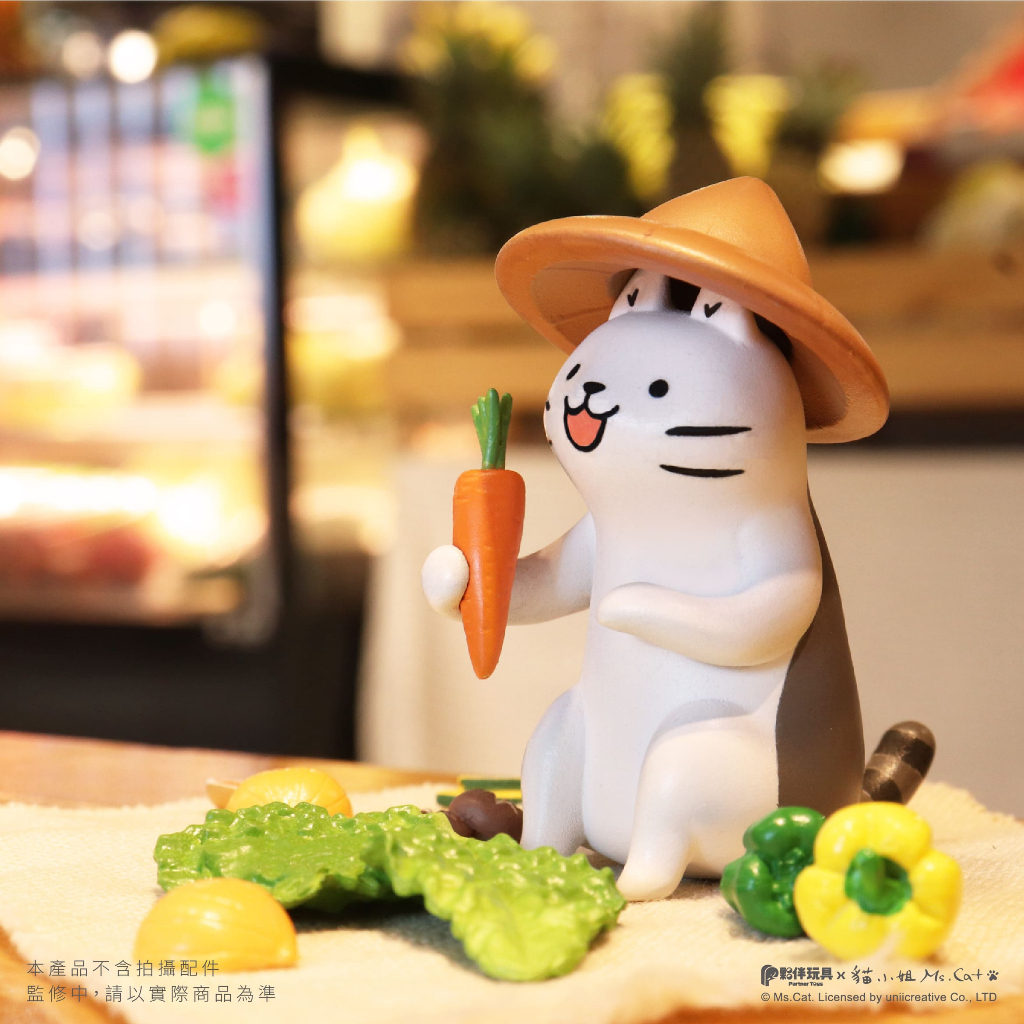 5.青菜蘿蔔 斗笠貓