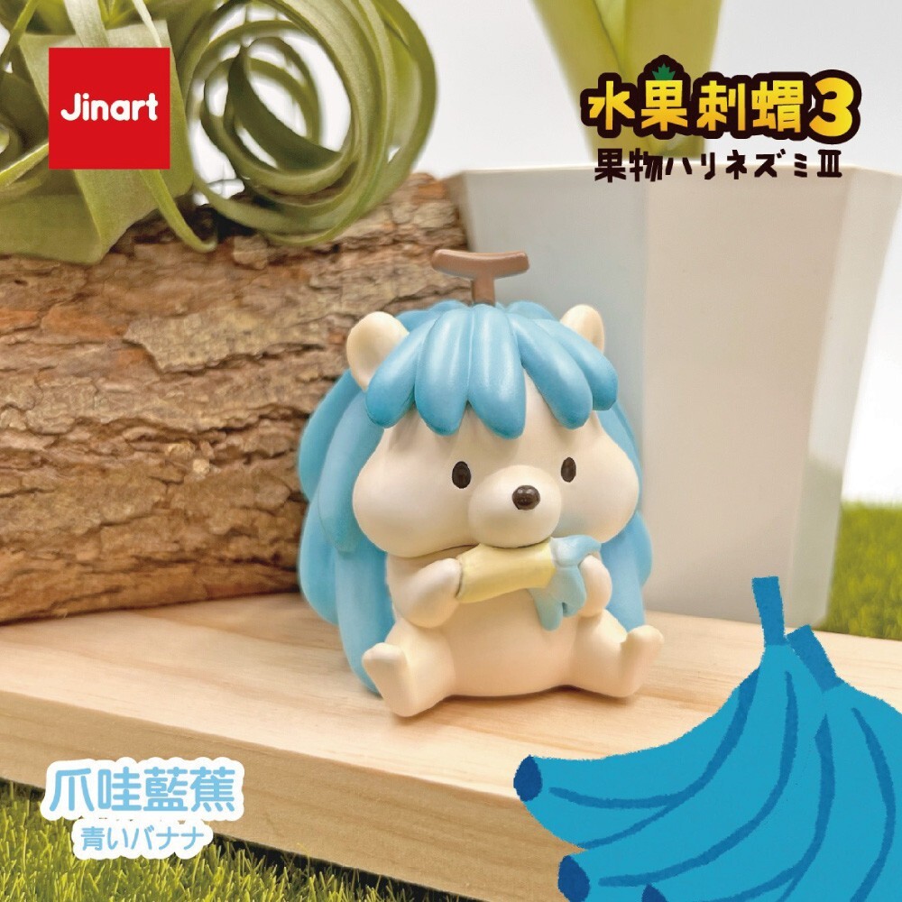 爪哇藍蕉(拆盒確認)