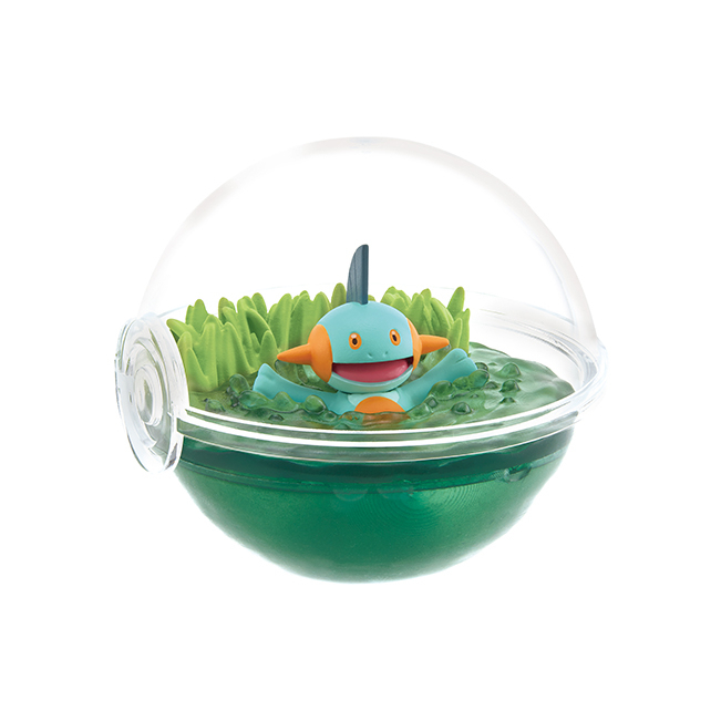 tw-11134207-81ztn-mhdgr4ouccgd0d