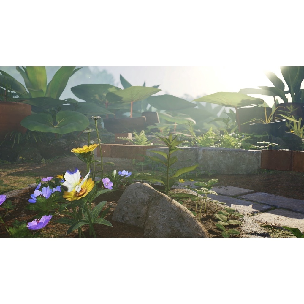 tw-11134207-81ztm-mer251ubq22v90