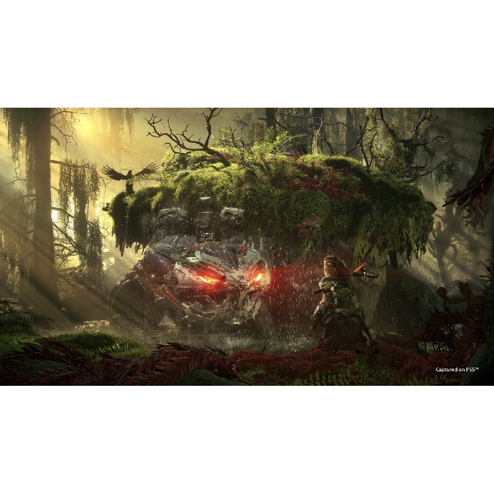 tw-11134207-81ztc-mg5xs3h3wefdcb