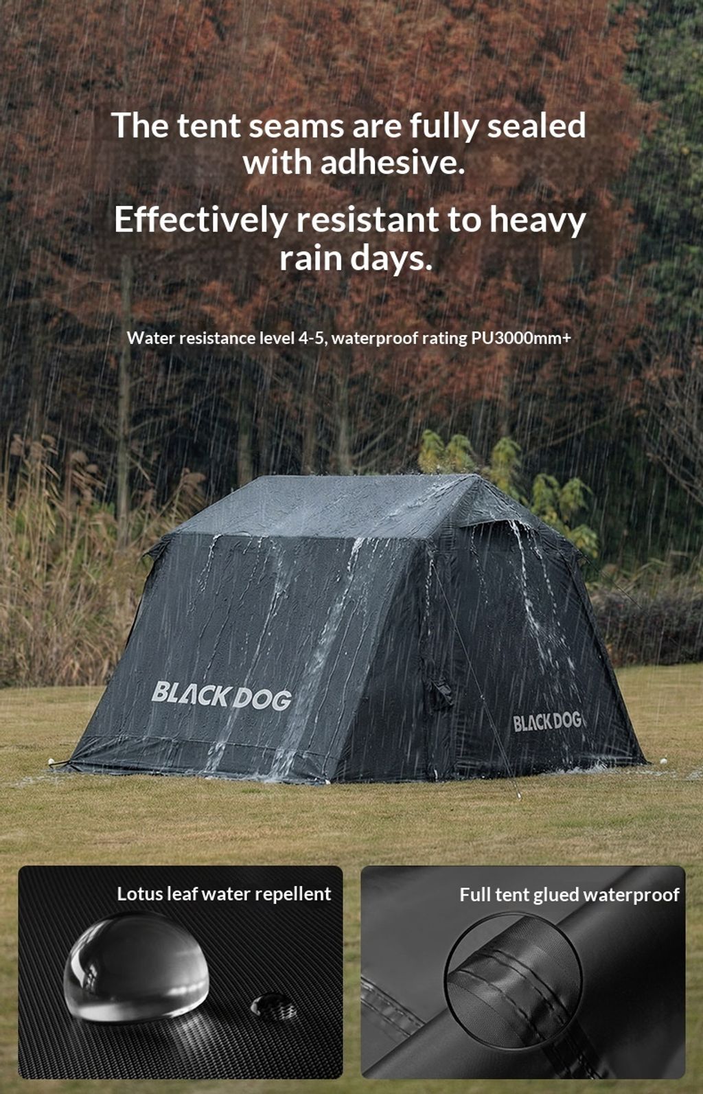 c6af2b13498f5f3be577efa3aa768f86