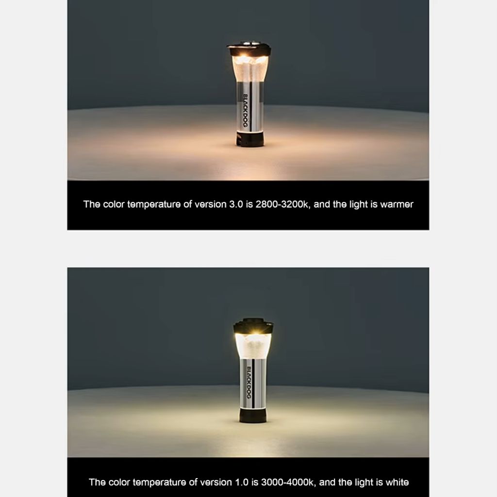 S301631e70bea48fbb9f3fa184f993ddbP