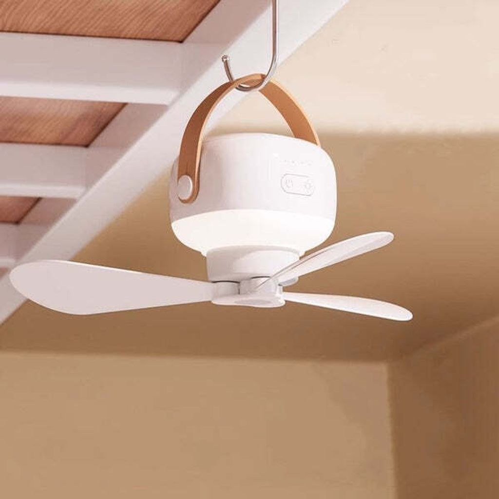 A_3_563c4549-c50e-4e6a-a2d6-e34f856f6d71_grande