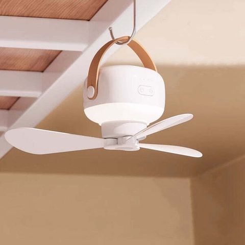 A_3_563c4549-c50e-4e6a-a2d6-e34f856f6d71_grande