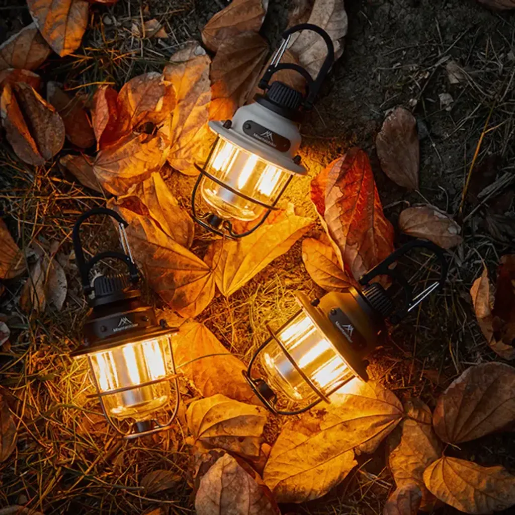 my-11134207-7r98t-lmhd5m4fd6za1c