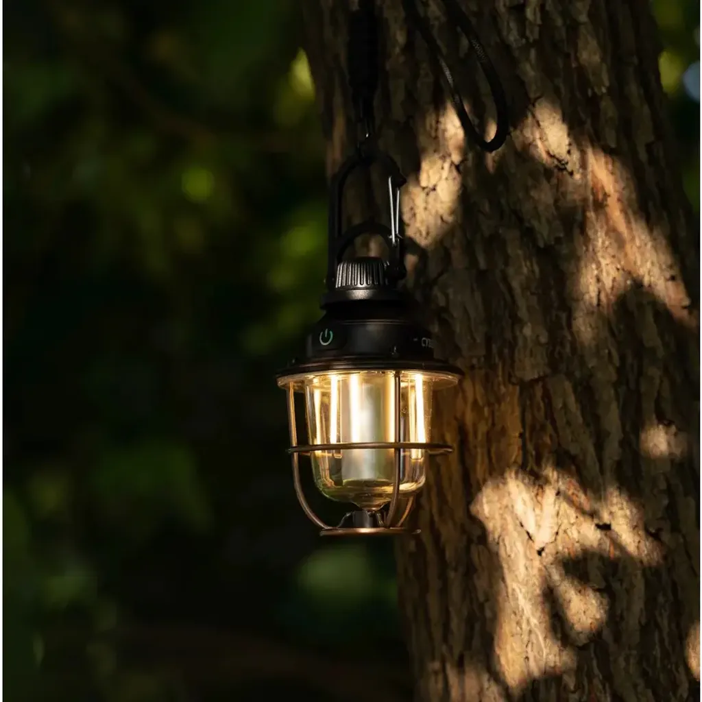 my-11134207-7r98p-llg3jl7aiictb9