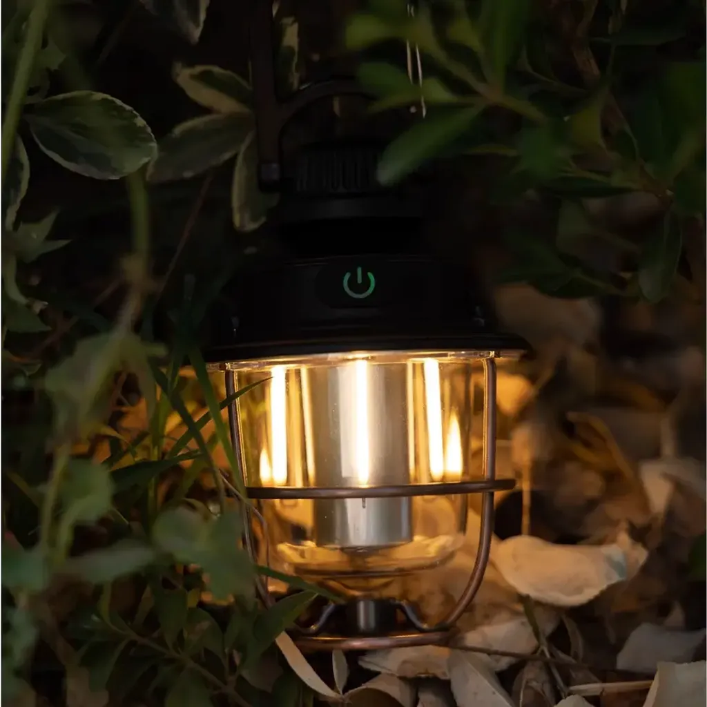 my-11134207-7r991-llg3jl7ajwx972