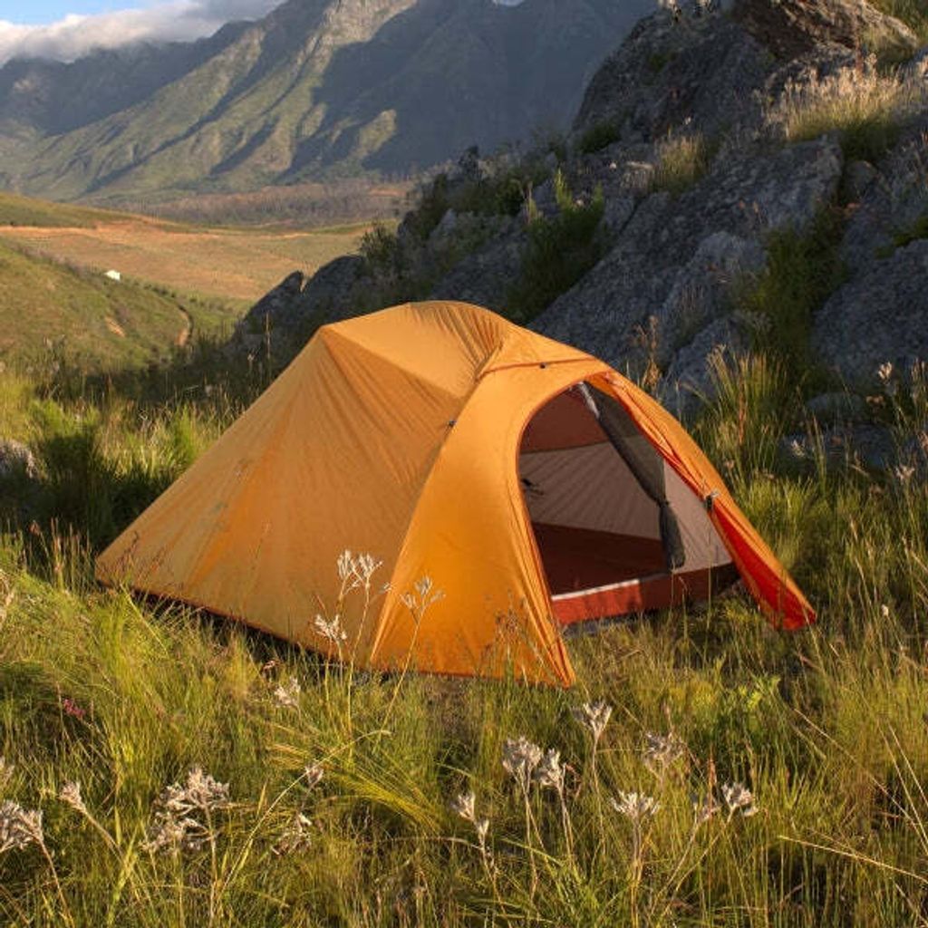 91Uo0HqBJTL._AC_SL1500