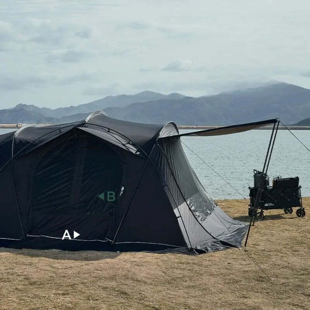 Holiday-Stars-300-70D-5_jpg