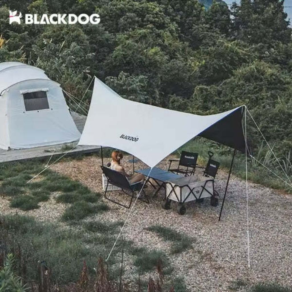 6_e71874d6-17b0-4080-82c5-97804a67ff89