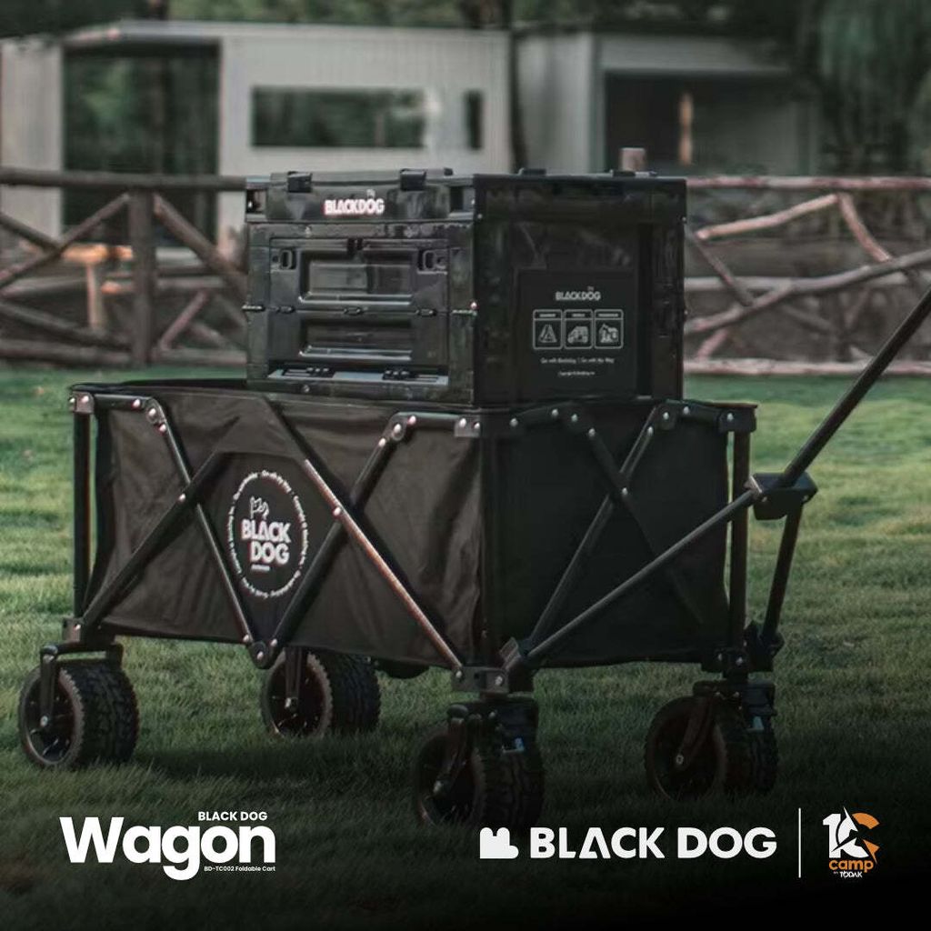 SHOPEE10CAMPBLACKDOGWAGONB2