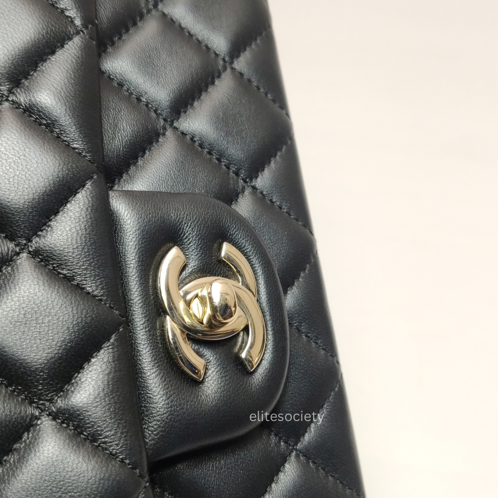 image_FD836E7A-D383-46D1-A350-A12282223153_1775135299