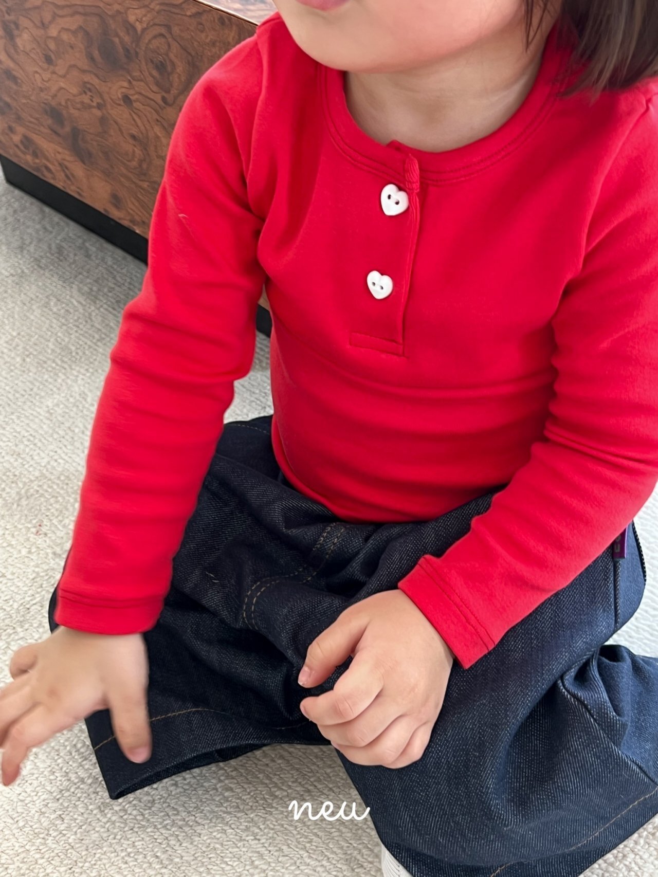 1_23_2391786363495
