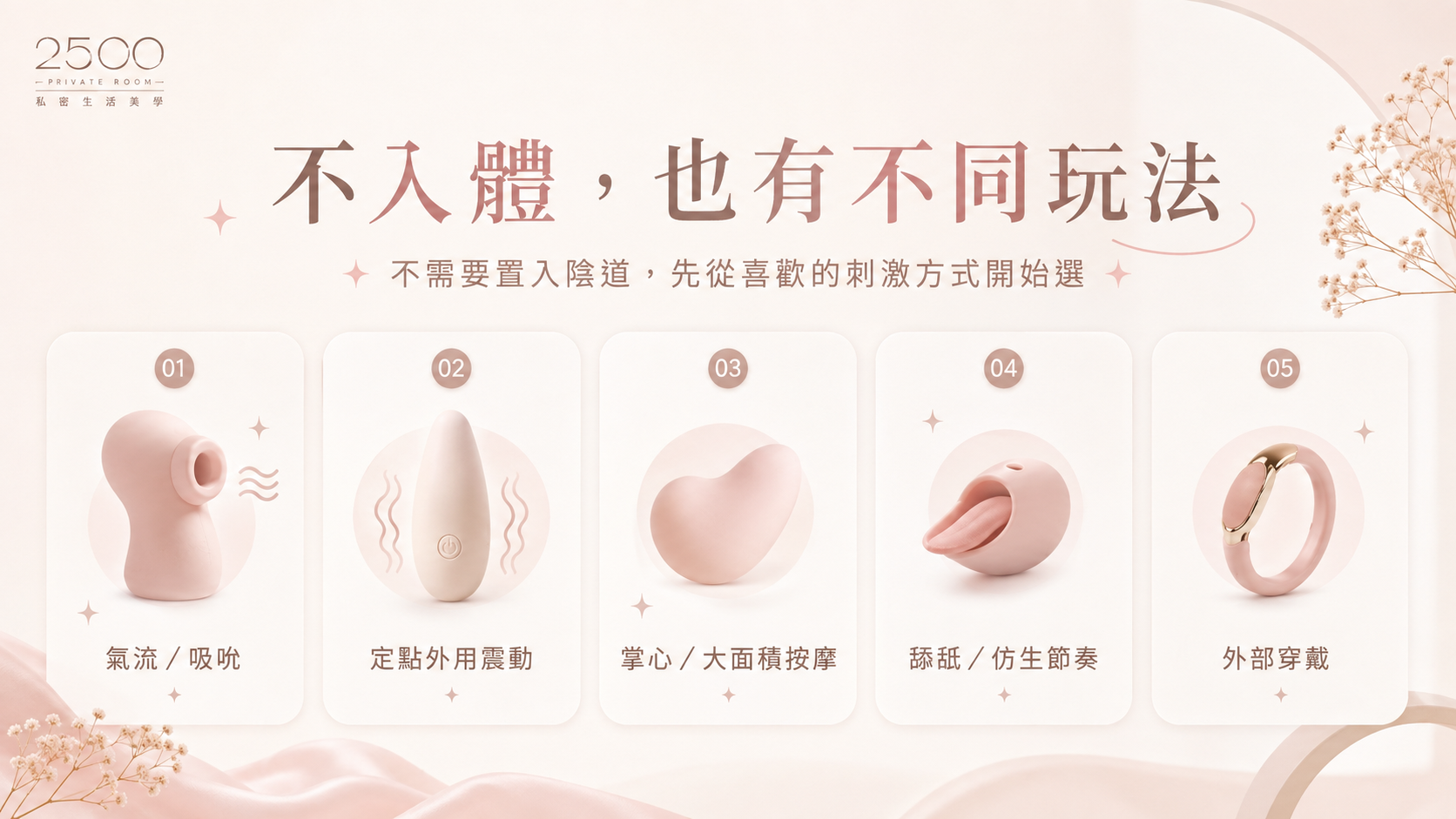 女性不入體玩具五種類型吸吮外用震動舔舐穿戴比較