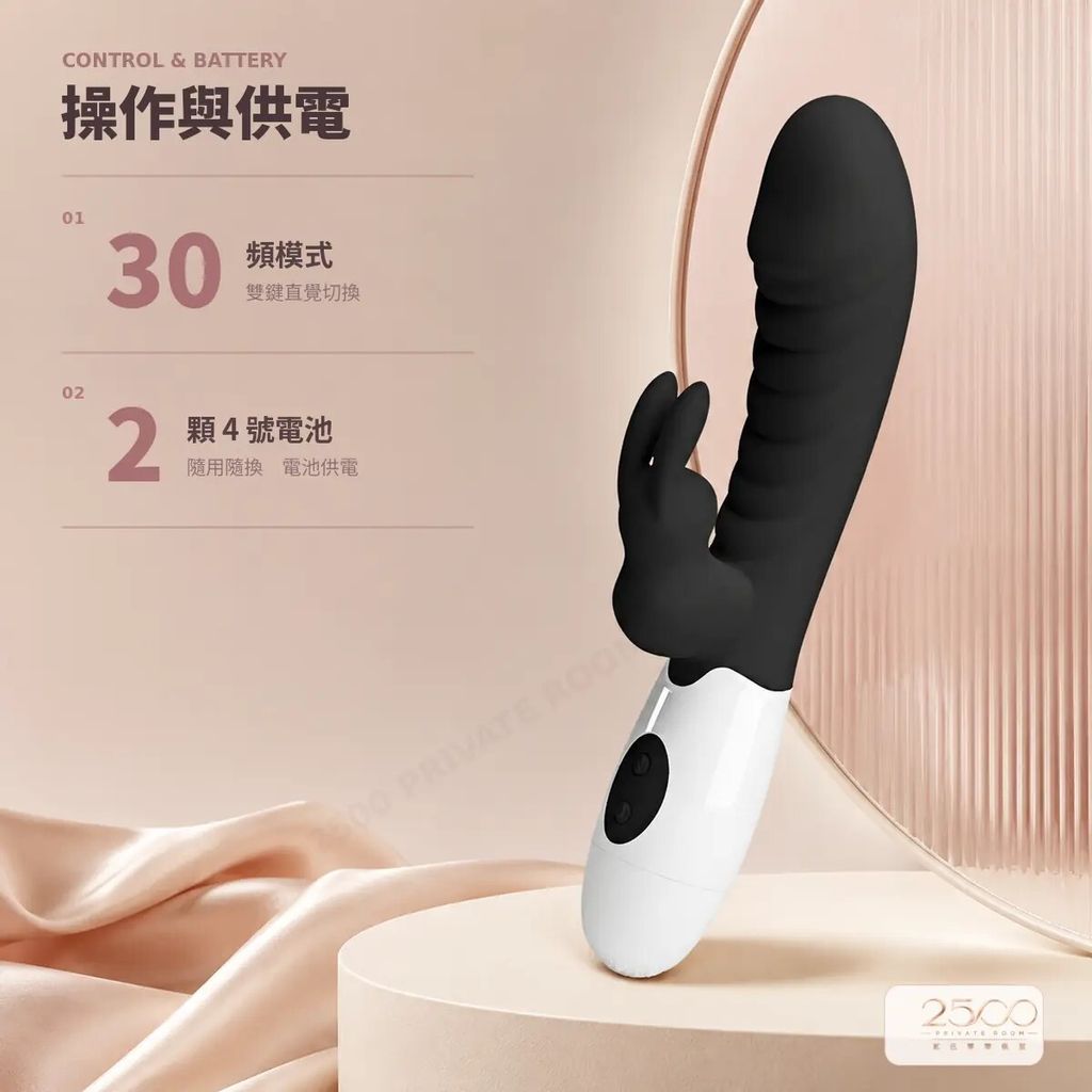 pretty-love-rabbit-04-control-battery