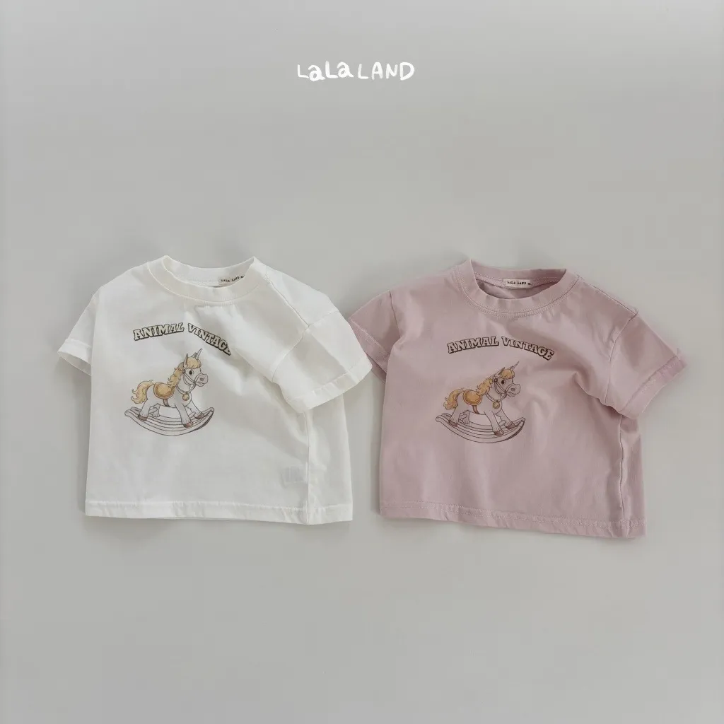 16891954
