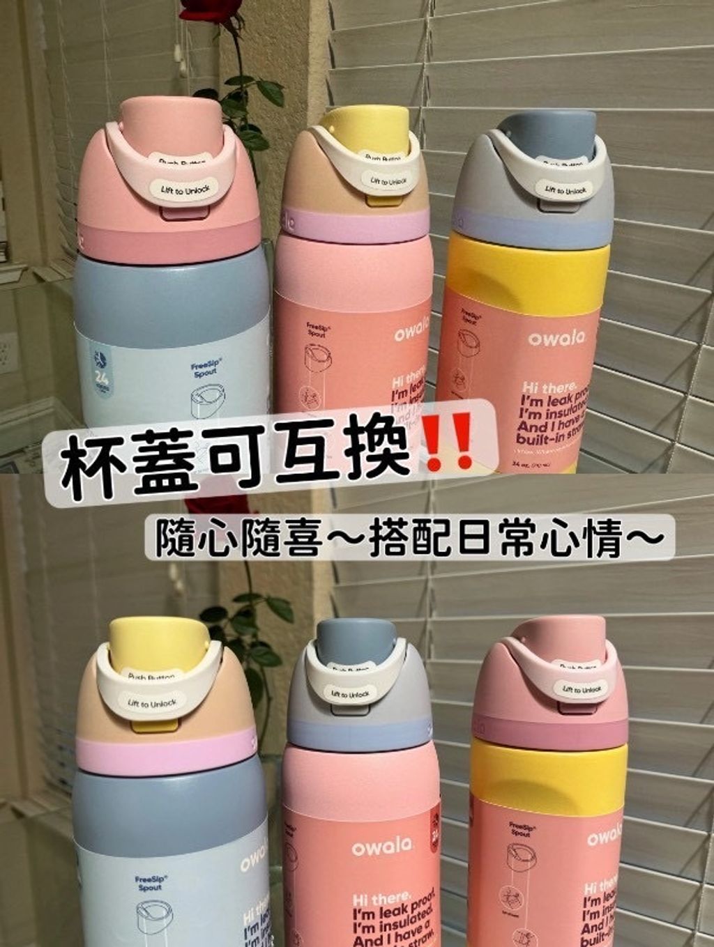 image_7BB20824-B6BF-4CE9-8887-97ACDD3269BB_1782620206