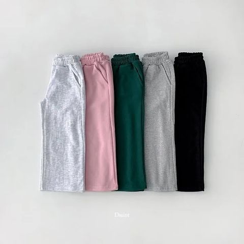ProductGroup-02-褲子 DSAINT 폼나와이드팬츠 26가을