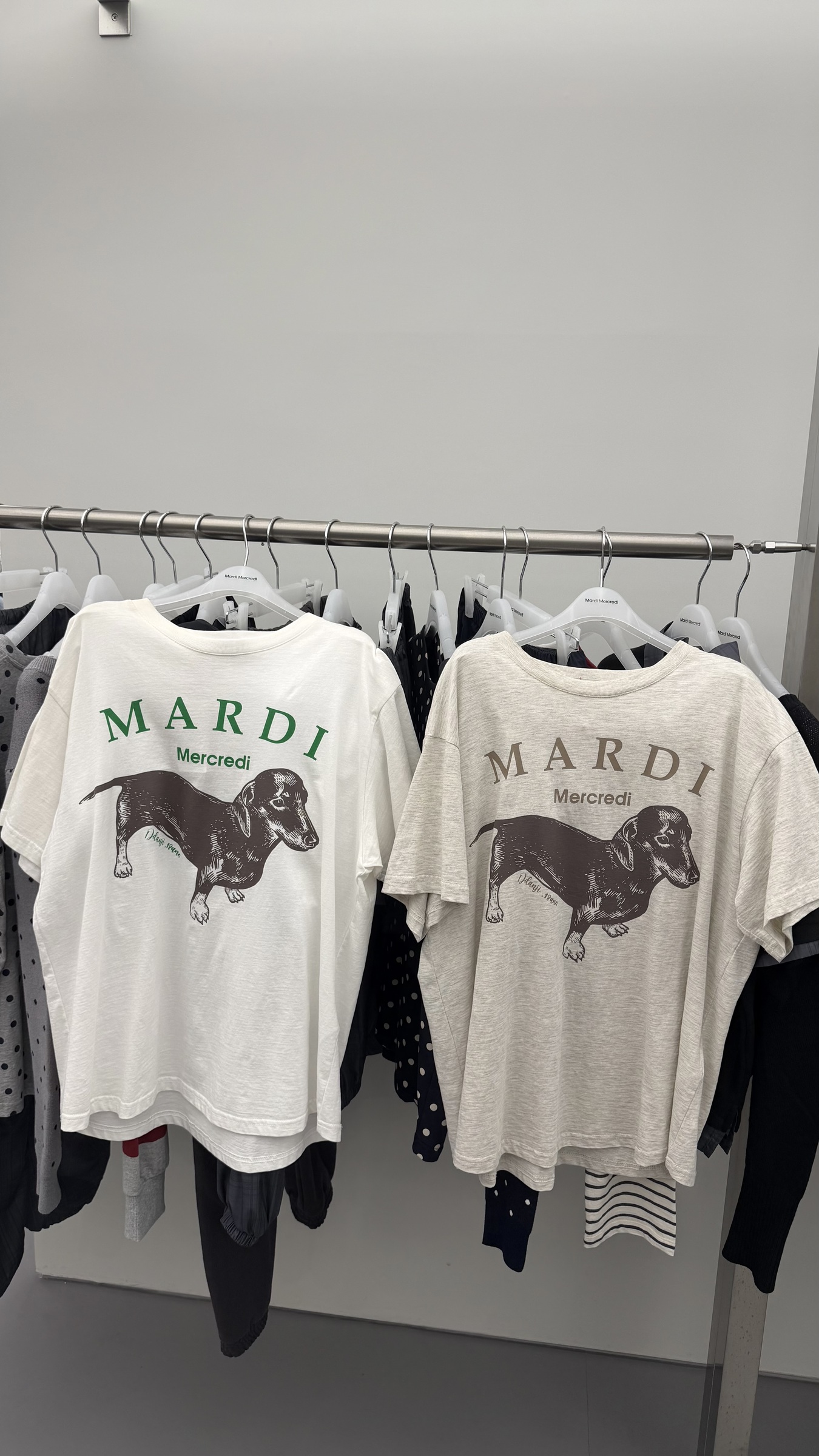image_264A7B33-5F46-4D2A-A9CF-2AABCBFEC12A_1791025699
