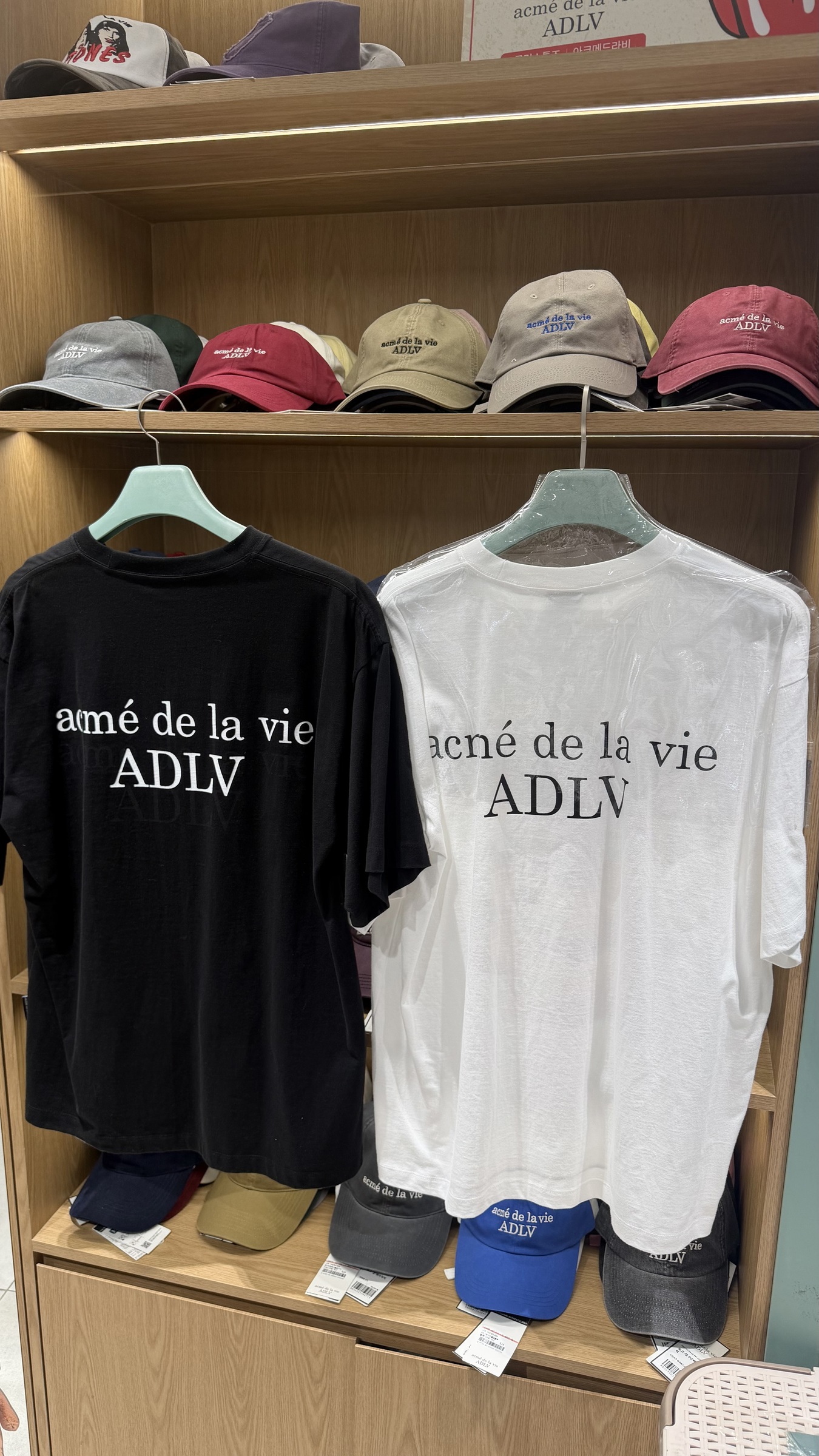 image_1E967143-C4A0-4D71-91A4-9A8545722C96_1791072084