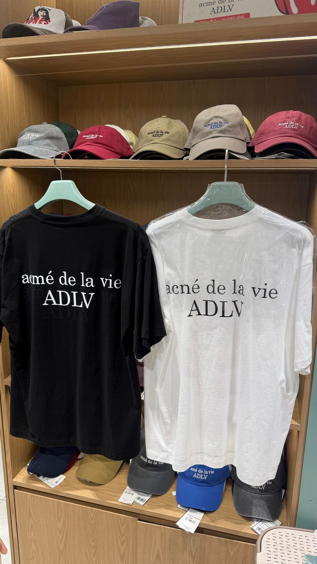 image_1E967143-C4A0-4D71-91A4-9A8545722C96_1791072084