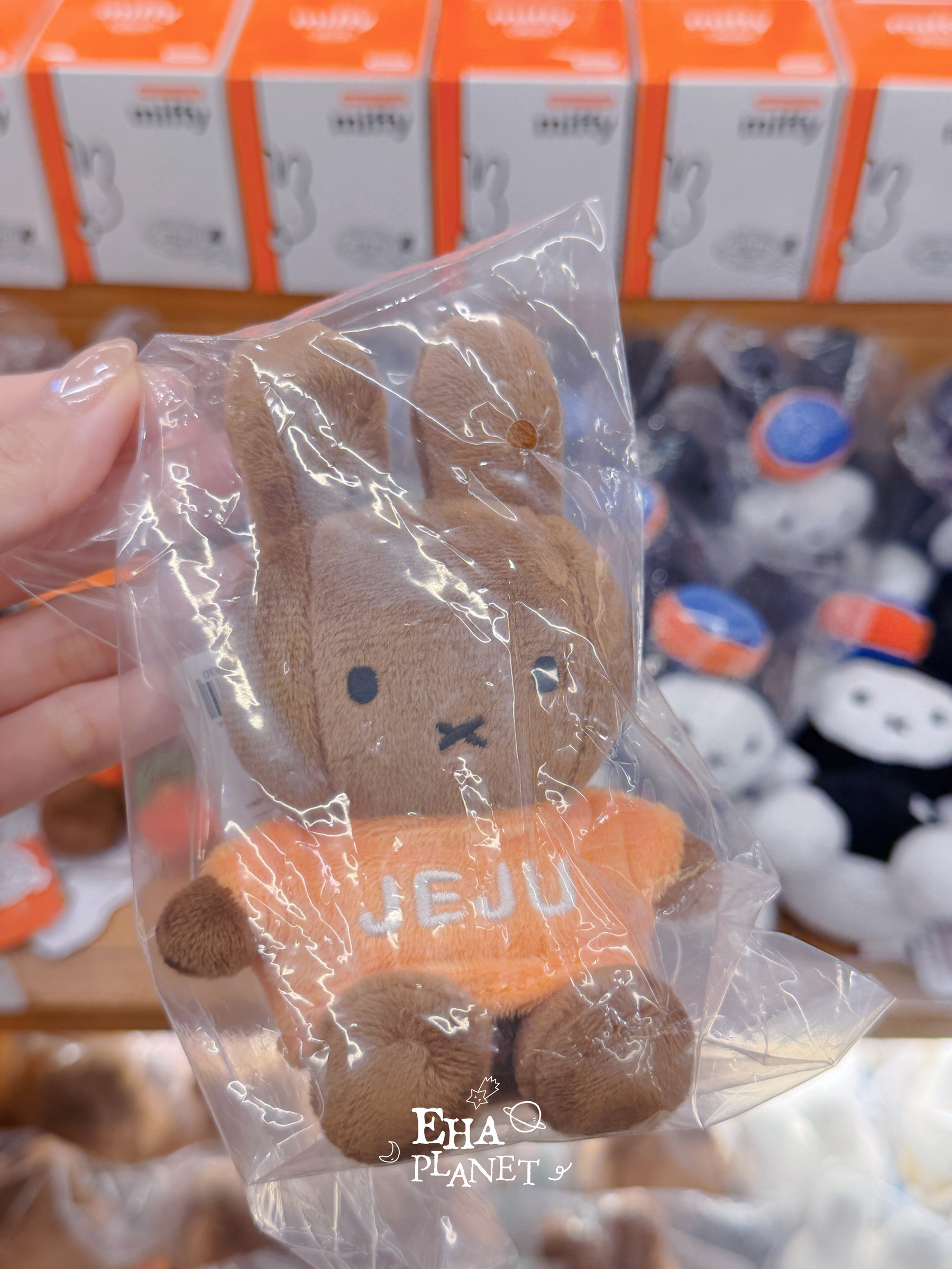 image_C9CA5B82-B36A-43FE-B767-B8107A7CAD41_1773124240