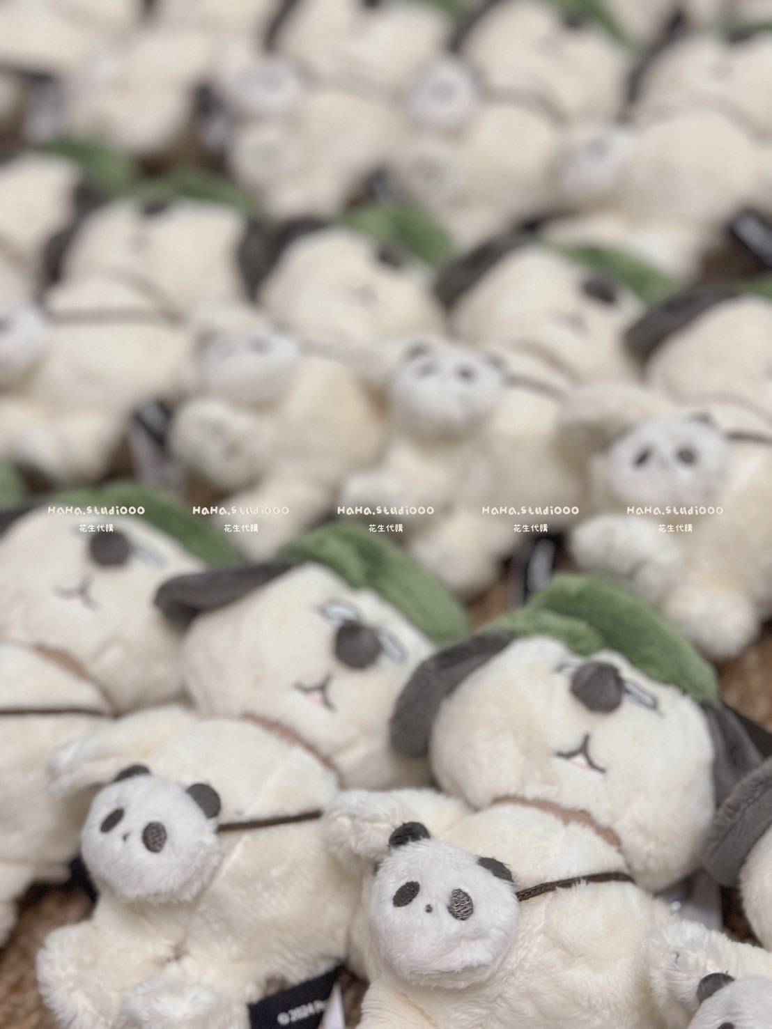 image_A7234B84-B7CB-4CE7-97DB-F0C1B0B61E98_1775321436
