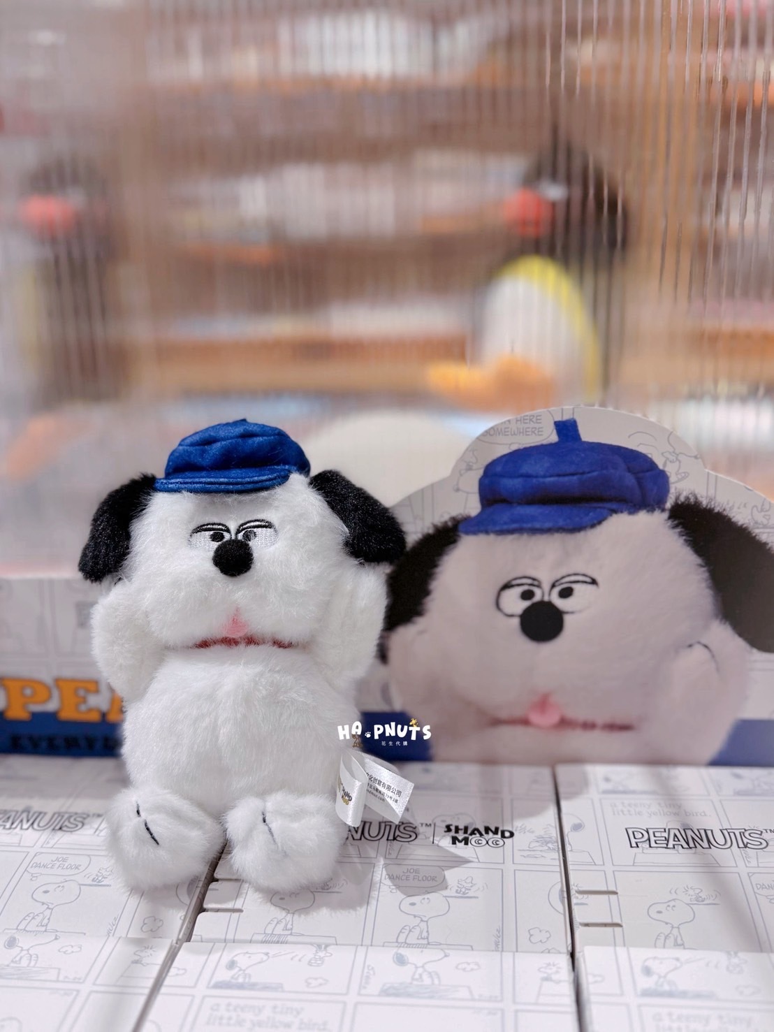 image_B261C2C6-DA29-47DB-A261-DD706C0E586B_1775331432