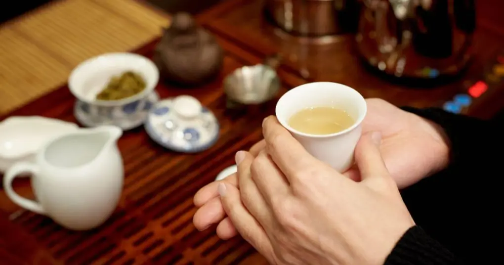 台灣茶vs日本茶vs中國茶：3分鐘看懂差異｜磅茶 Bondeo