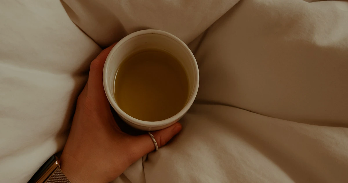 喝紅茶比較不會睡不著？解密咖啡因真相與辦公室泡茶指南｜磅茶 Bondeo