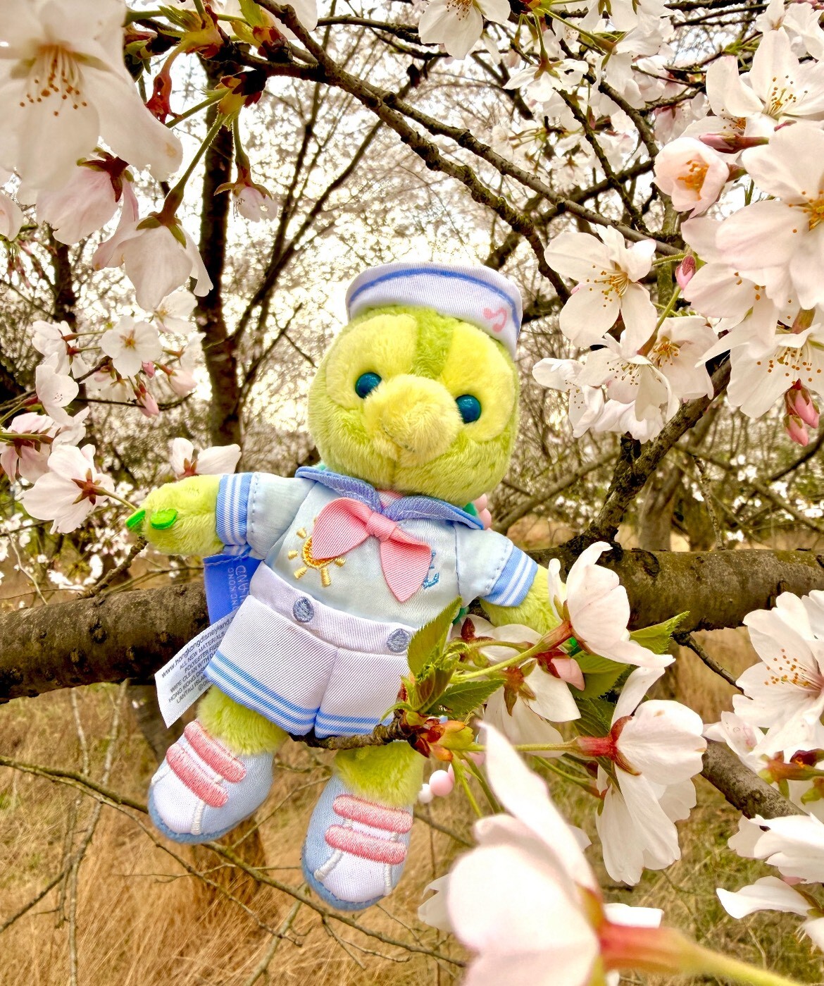 LINE_ALBUM_春日啟航_260331_10