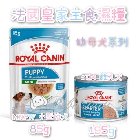 sg-11134201-22100-9qw85ct0rajv11