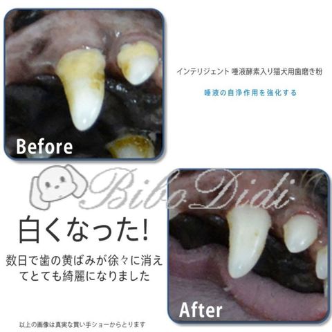 9ee914ebf7786d3039dcad0a129a5254