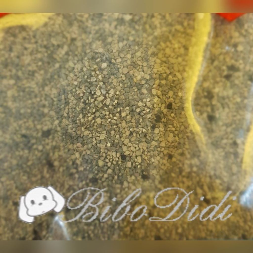 763853e2a6231945939742e9db2be604