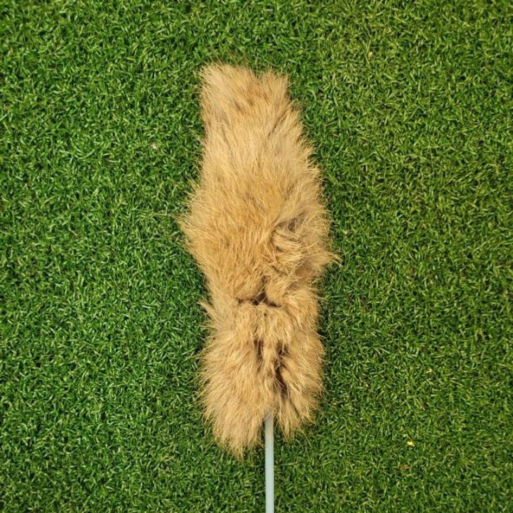 c34e82886a14e36106c7de474e738e4f