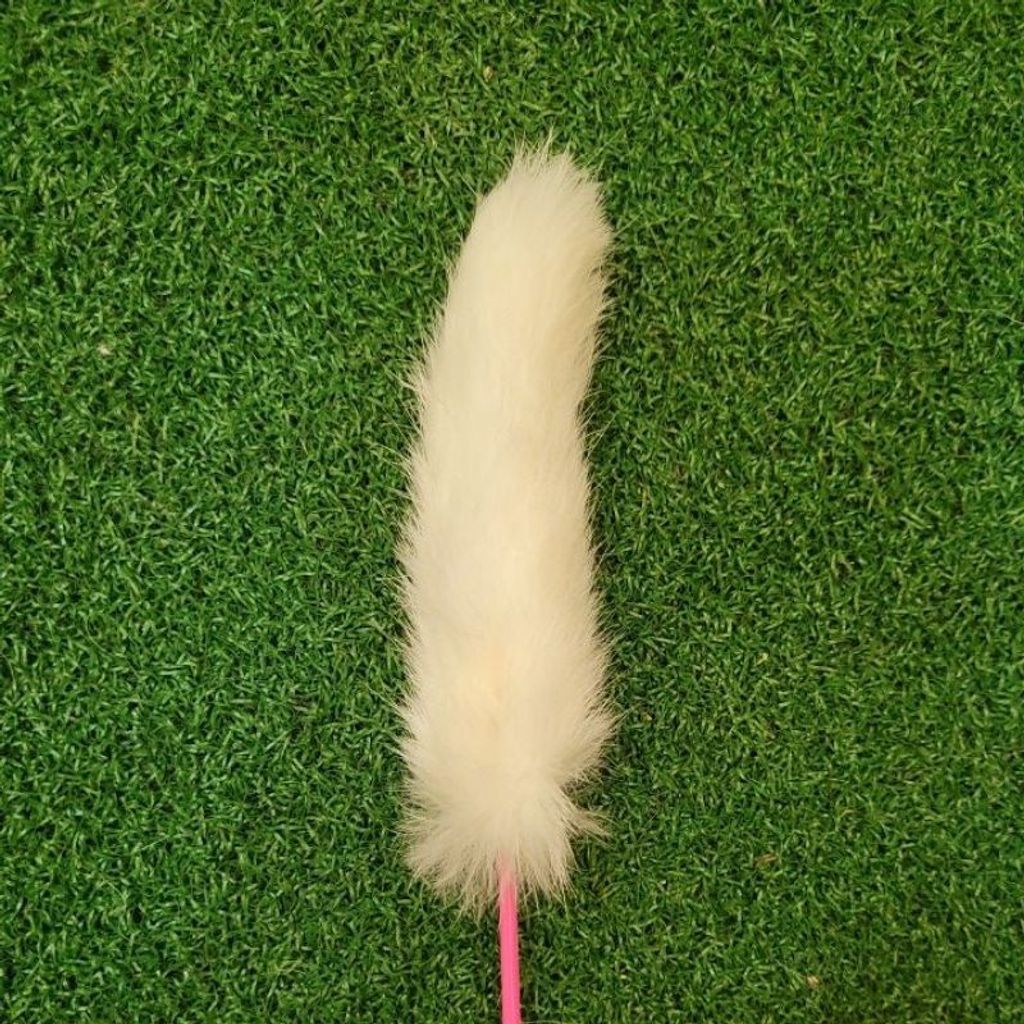 14dba7a11d0aacf3f964ac13c1b50ea0