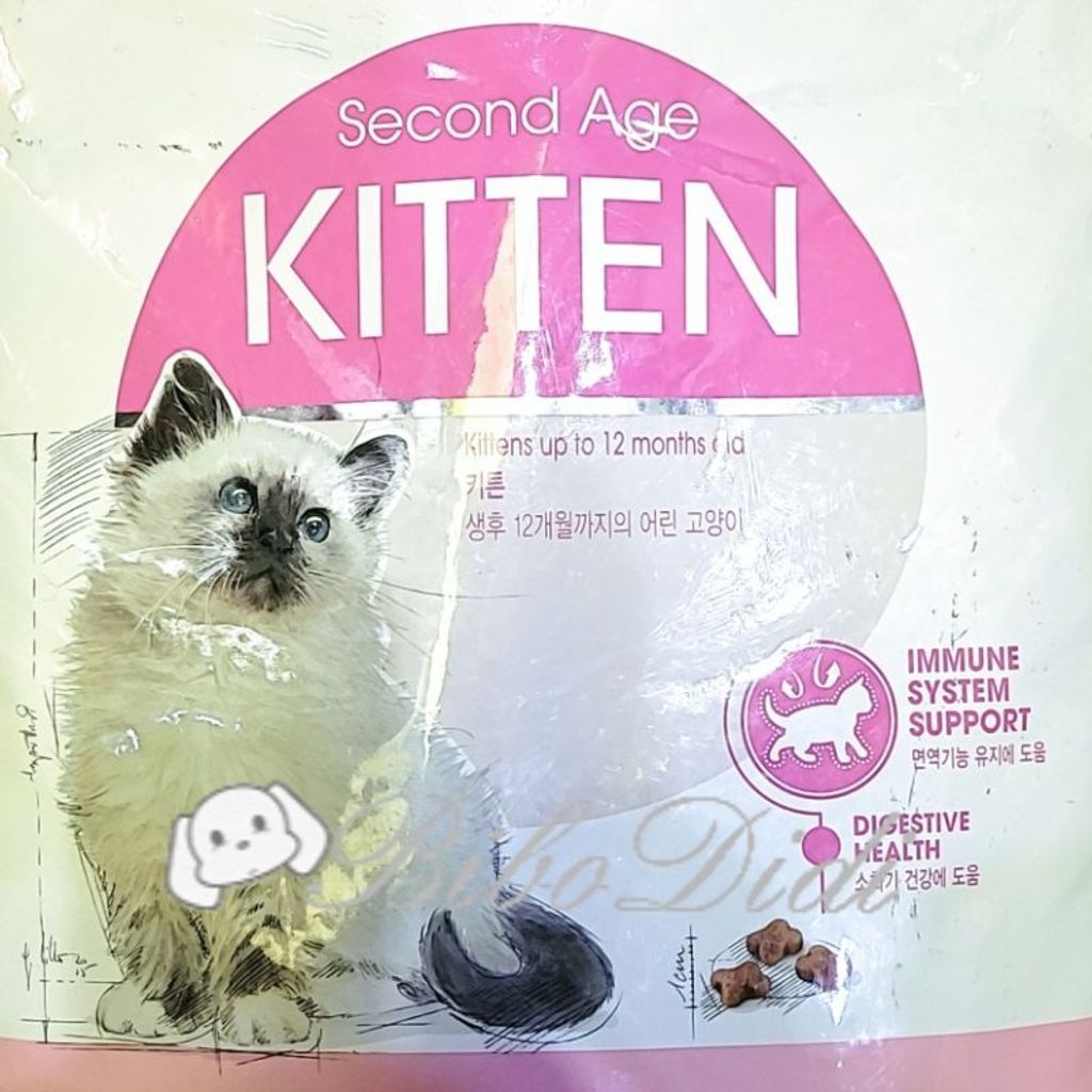 18f7cdd6a8bf0615c6be84c544ed88cc