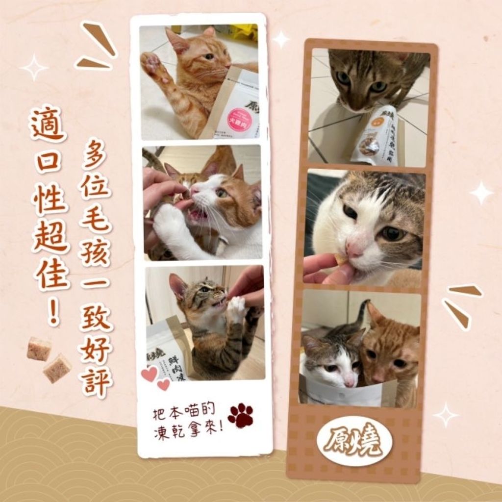 tw-11134207-7r98u-lt5urafgmfbc6e