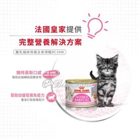 9c14b534c4863adf10525c062986205a