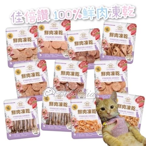 tw-11134207-7r98t-lt9jab5jez8278