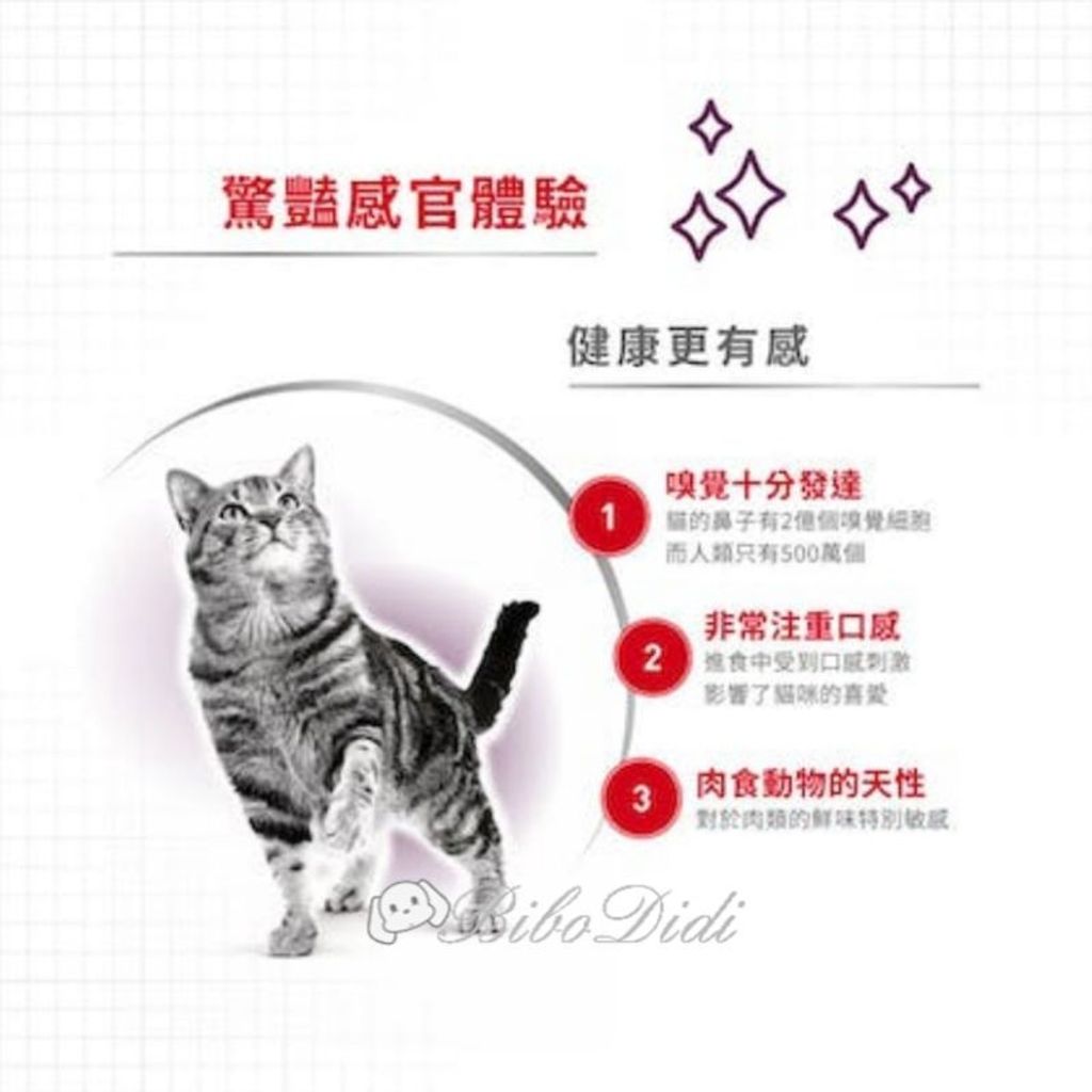 sg-11134201-23010-j6xyuzclrslv8e