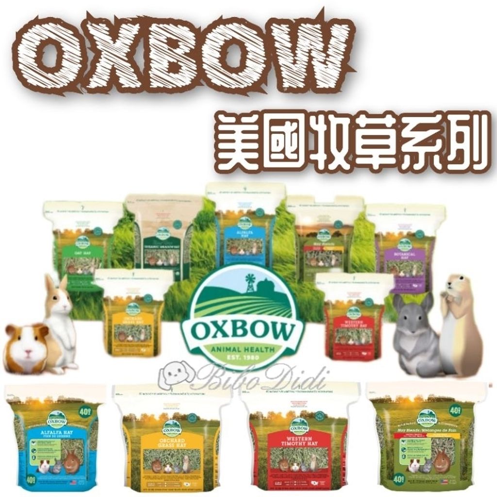 tw-11134207-7rbk3-m74u1xgr69gi9a