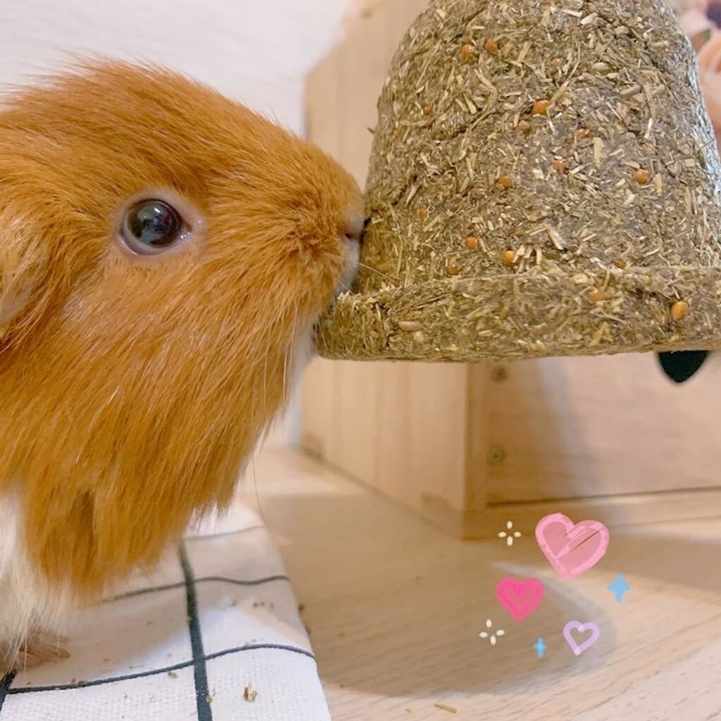 tw-11134207-7r990-lzw710w12a5w9d